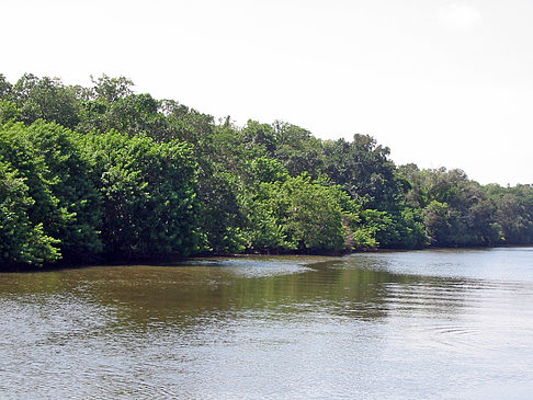 Foto Collier Boulevard Boating Park