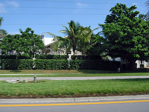 Fotos Straßenrand auf Marco Island