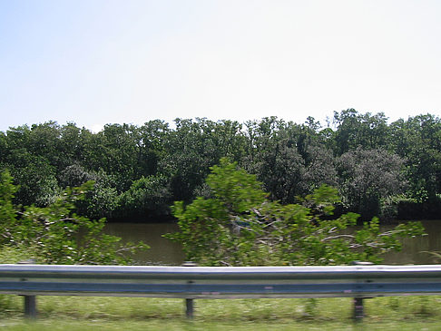 Fotos Straßenrand auf Marco Island | Marco Island