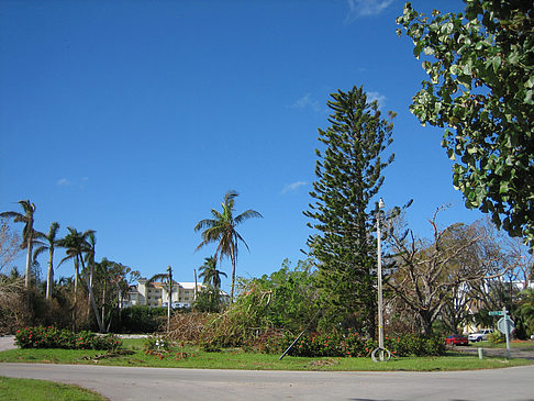 Foto Straßenrand - 