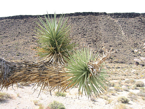 Lone Pine - Panamint Springs Foto 