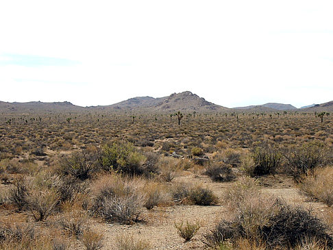 Foto Lone Pine - Panamint Springs