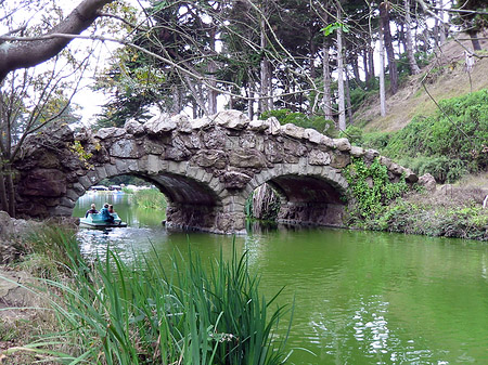 Foto Golden Gate Park mit Botanischen Garten