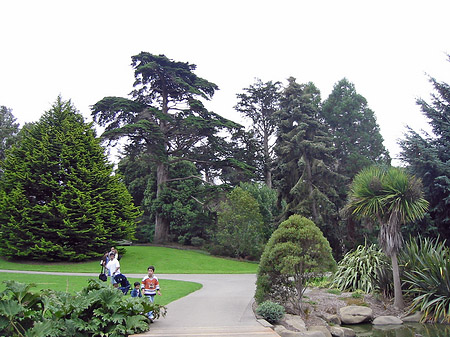 Foto Golden Gate Park mit Botanischen Garten