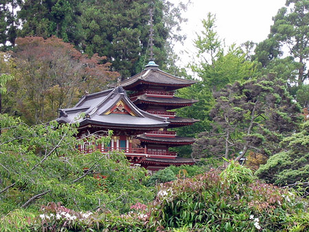 Foto Golden Gate Park mit Botanischen Garten - San Francisco