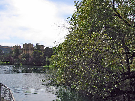 Foto Palace of Fine Arts